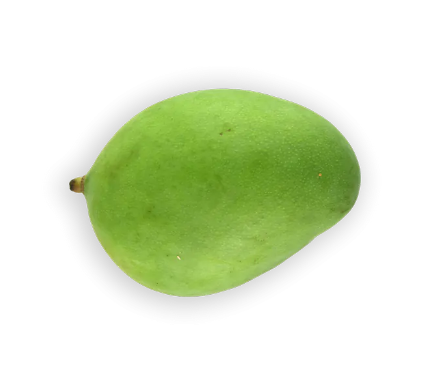 Raw Mango 1 EACH